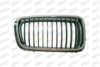 PRASCO BM0982013 Radiator Grille